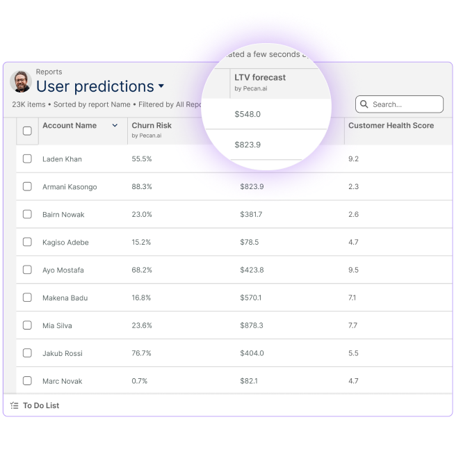 pecan-ai-user-predictions-table